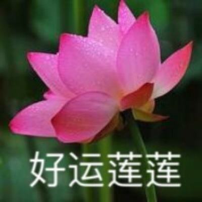 垃圾创造一切手机版(暂未上线)v1.0.1 安卓版